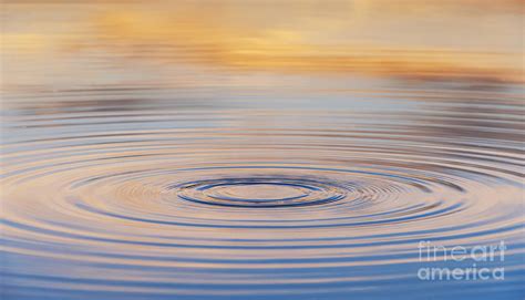 Ripples on a Still Pond Photograph by Tim Gainey - Pixels