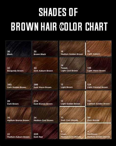 Shades Of Brown Hair Color Chart