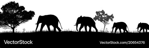 Elephants silhouette and trees in the savannah Vector Image