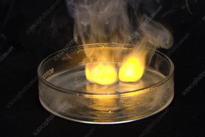 Sodium Reacting with Water - Stock Image - C027/9611 - Science Photo Library