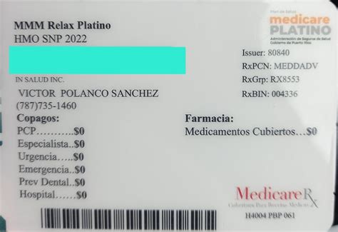 Mmm Platino 2024 Puerto Rico - Rakel Caroline