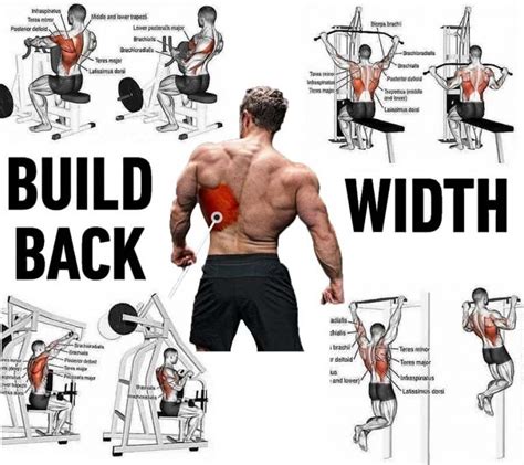Best Exercises to Strengthen your Back Muscles