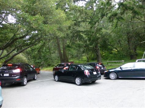 Muir Woods to Require Parking, Bus Reservations | KQED