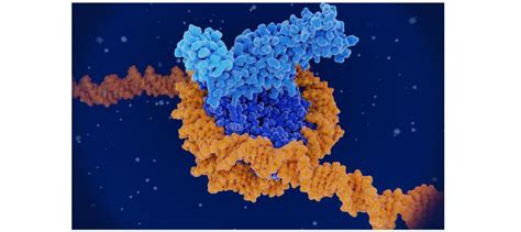 Histone Methylation Analysis Method - Creative Proteomics Blog