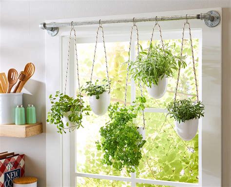 How to Grow Hanging Tomato Plants | Better Homes & Gardens