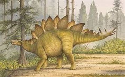 10 Interesting Stegosaurus Facts | My Interesting Facts