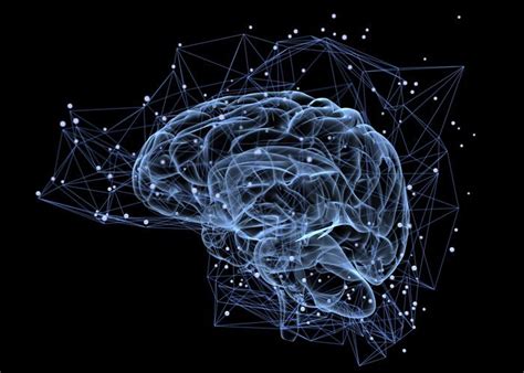 Electrical circuits used to map out cells in the brain