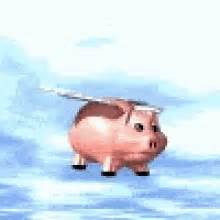 Flying Pigs GIFs | Tenor