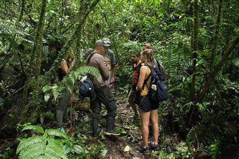 Hiking Cerro Tortuguero, Tortuguero | kimkim