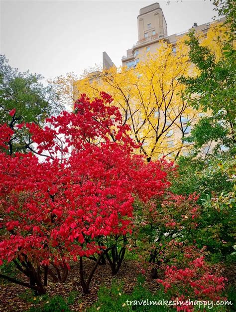 Beautiful Fall Colors in New York City's Central Park: Trip Idea