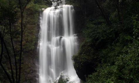 Hebbe Falls Chikmagalur (Entry Fee, Timings, Entry Ticket Cost, Price ...