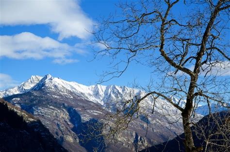 Free Photo | Vertical shot of a wooden pathway with the snow covered ...