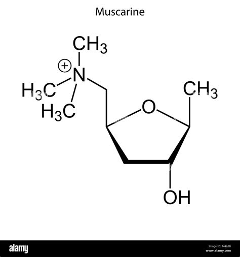 Muscarine Structure