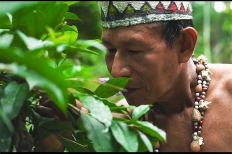 Native community in Iquitos 2024