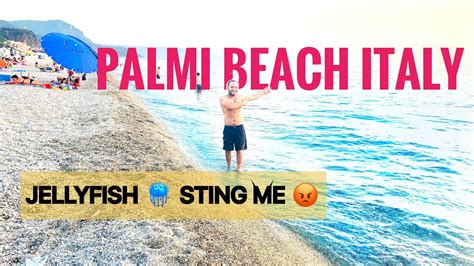 PALMI BEACH REGGIO CALABRIA FIRST PUNJABI YOUTUBER REACH IN PALMI BEACH @Travelfreakangad# ...