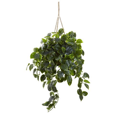 Nearly Natural Hanging Ivy Plant in Basket & Reviews | Wayfair