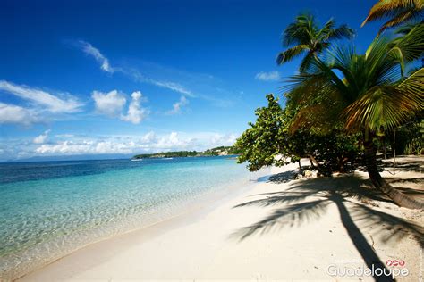 Plage de la Caravelle, Sainte-Anne #Guadeloupe | Plage guadeloupe, Image guadeloupe, Guadeloupe ...