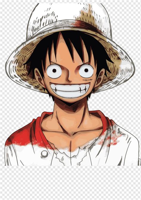 Monkey D. Luffy da ilustração de One Piece, Monkey D. Luffy 15º ...