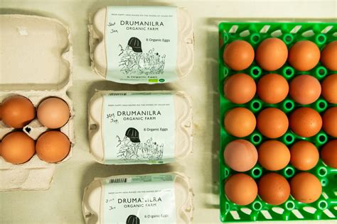 Organic Eggs vs Regular Eggs – what’s the difference? - Honestly Farm ...