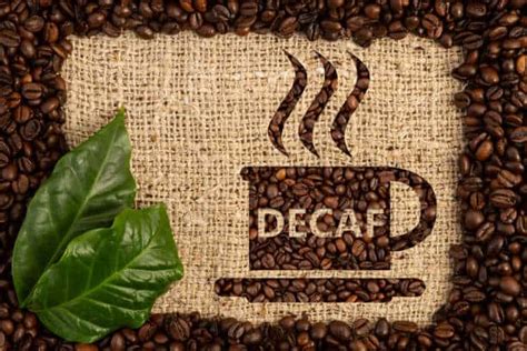 Does Decaf Coffee Dehydrate You? 7 Facts You Didn't Know