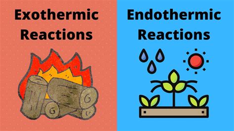 Endothermic Reaction Examples For Kids