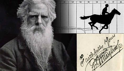 Why Did Eadweard Muybridge Photograph Horses?