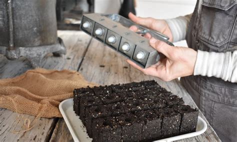 Soil Blocking: Tried and True Seed Starting Tech- Epic Gardening