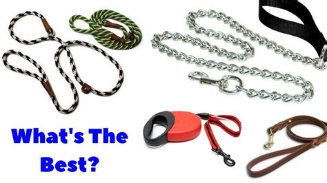 The 6 Types Of Dog Leashes. Which Type Should You Be Using For Your Dog? | Types of dogs, Best ...