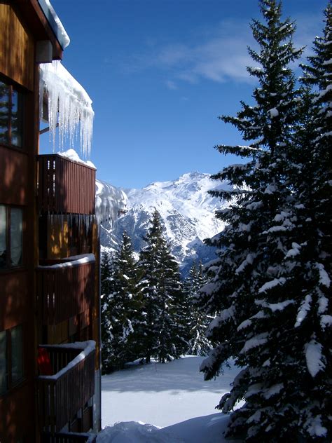 Free Stock photo of Alpine Lodge and Fir Trees on Winter | Photoeverywhere