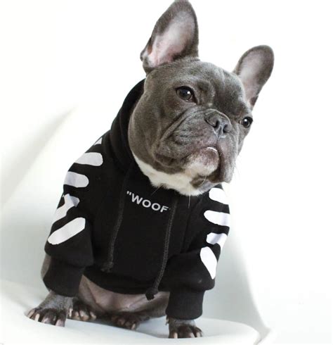 "Woof" Dog Hoodie For Frenchies With Attitude (3 Colors) - Ask Frankie