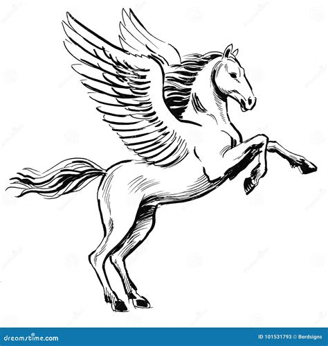 Pegasus branco ilustração stock. Ilustração de asas - 101531793