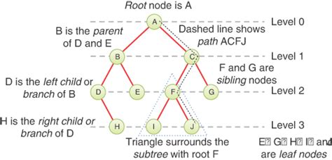 Introduction To Tree Data Structure And Algorithm Tutorials, 60% OFF