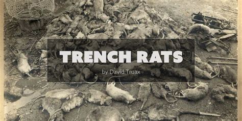 Ww1 Trenches Rats