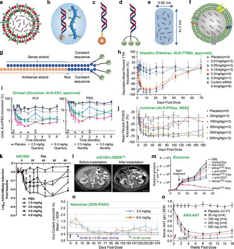 Schemes of representative clinically studied siRNA formulations and... | Download Scientific Diagram