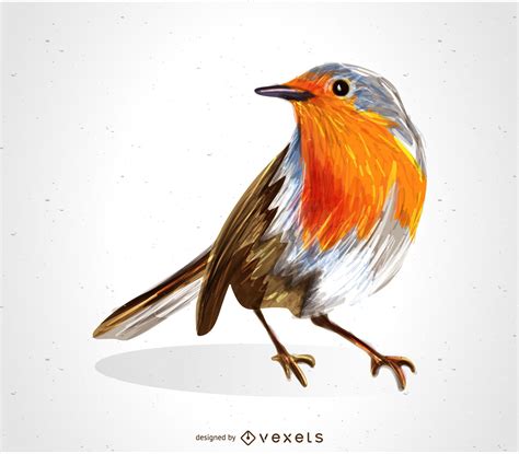 Descarga Vector De Dibujo De Pájaro Petirrojo Rojo