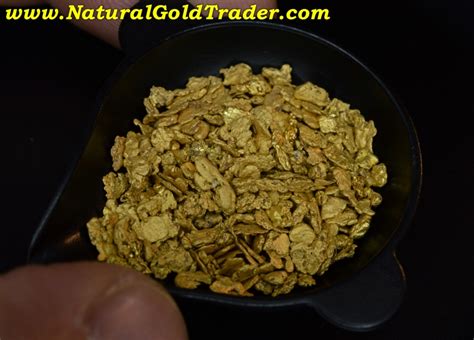 15.10 Gram Helena Montana Placer Gold Flakes