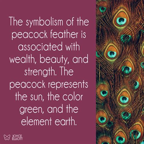 Peacock Feather Meaning: 5 Powerful Symbolisms - Joyce Elliott