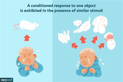 How Stimulus Generalization Influences Learning Learning Theory, Learning Process, Modern Coast ...