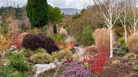 Bodnant's Winter Garden trail | Wales | National Trust