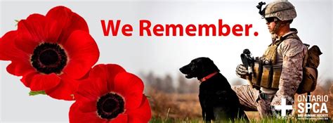 Remembrance Day - Ontario SPCA and Humane Society