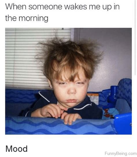 70 Funniest Good Morning Memes