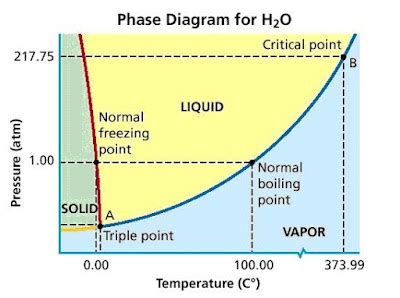 How does the water phase diagram differ from those of most substances ...