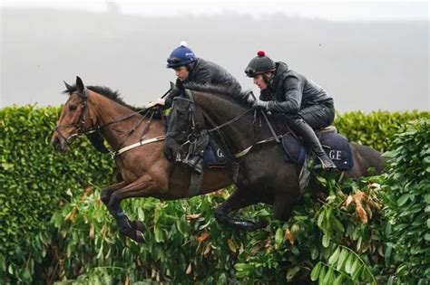 Cheltenham Festival 2023 - top tips for day one - Devon Live