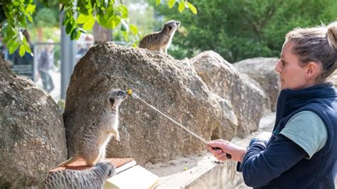 Werribee Zoo - tickets, prices, safari bus, animals, meet the keepers