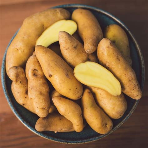 Russian Banana fingerling potato seed Organic seeds vegetables fruit ...