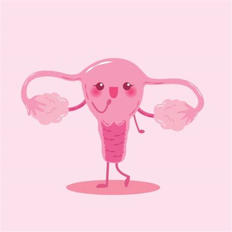 90+ Cartoon Of A Female Reproductive System Chart Stock Photos ...