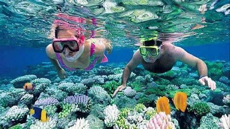 Snorkeling Blue Lagoon | Krisna bali trekking tour