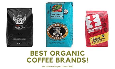 Best Organic Coffee Brands 2022: The Ultimate Buyer’s Guide