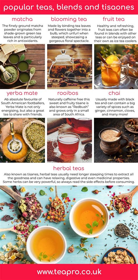 Your Complete Guide Through The Remarkable World Of Tea - Teapro | Blooming tea, Herbalism ...