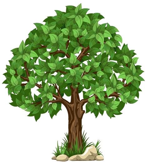 Tree Clip Art | Tree images, Tree clipart, Tree art